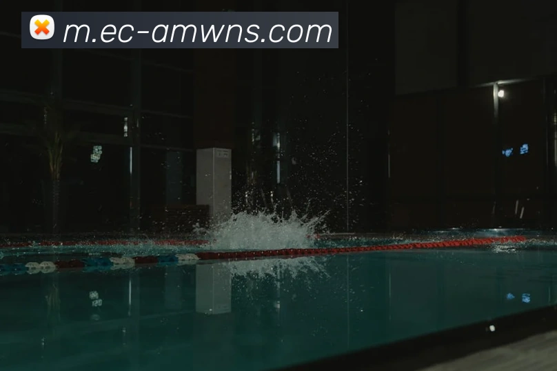 威尼斯人娱乐官网平台生态图